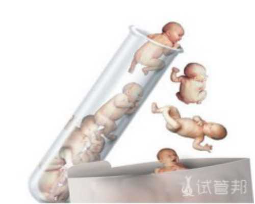 做供卵试管[精因宝贝是真的吗],丽水原发性闭经做三代试管？